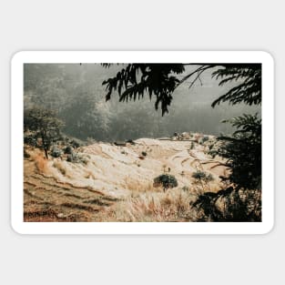 Farming fields in the Himalaya mountains Sticker